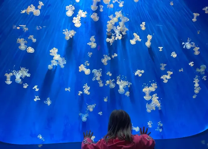 Rosa Homes The Red - Cozy 2 Bedrooms Historic Center, Aquarium * Cenova