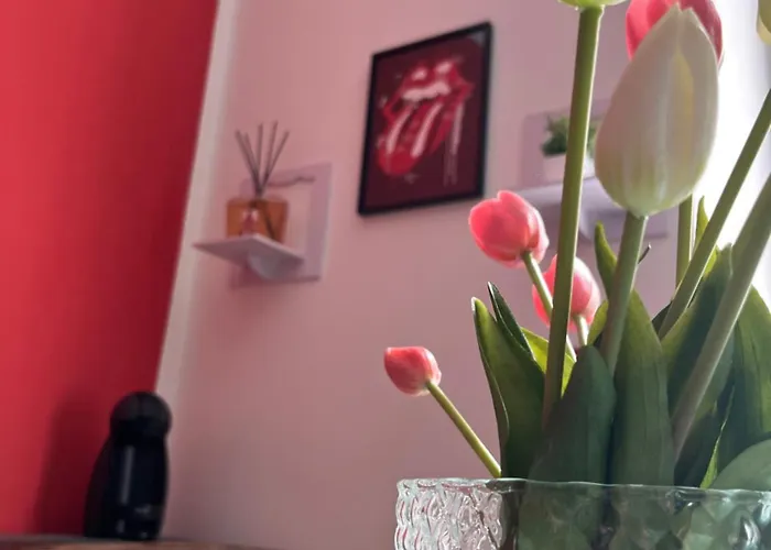 Rosa Homes The Red - Cozy 2 Bedrooms Historic Center, Aquarium